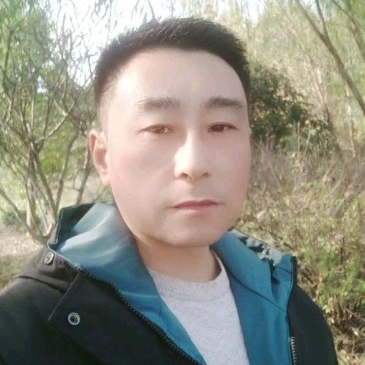 万马奔腾