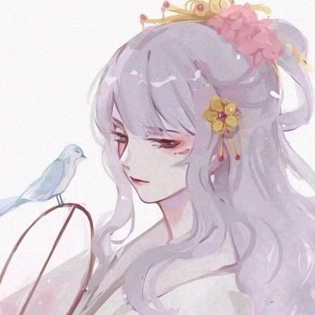 樱野猫少女ii