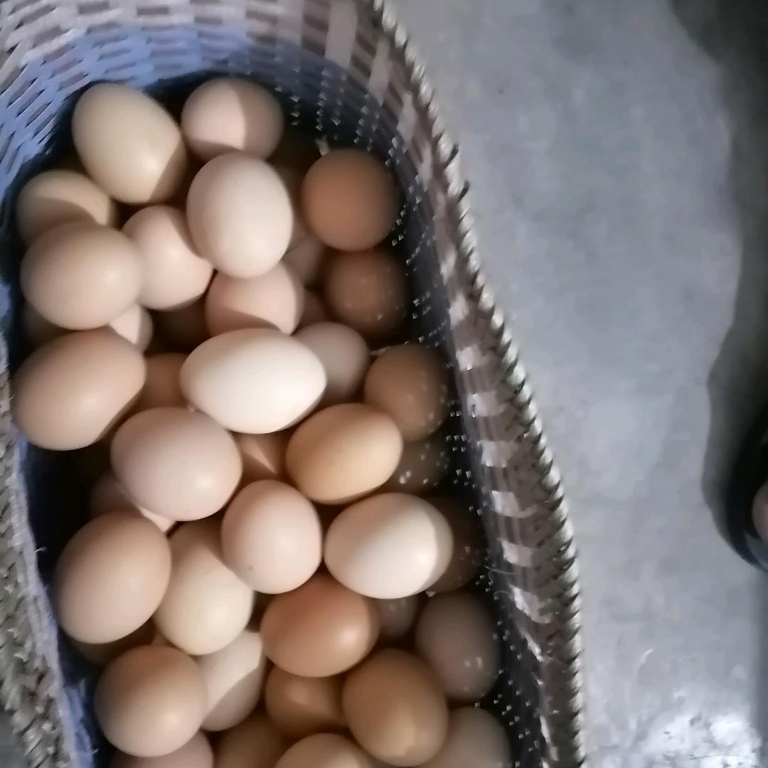 摇一摇吧