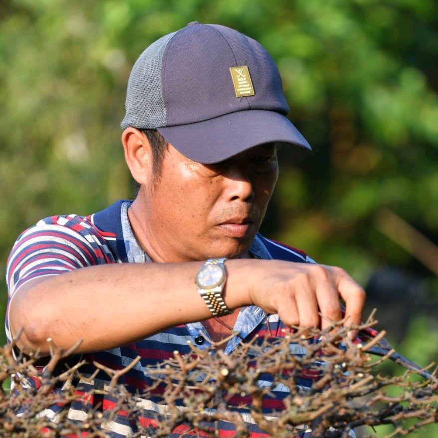 👀兰石盆景园🏝️