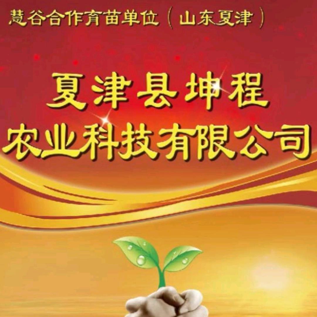 慧谷薯泽&夏津坤程农业姜坤（沉淀）