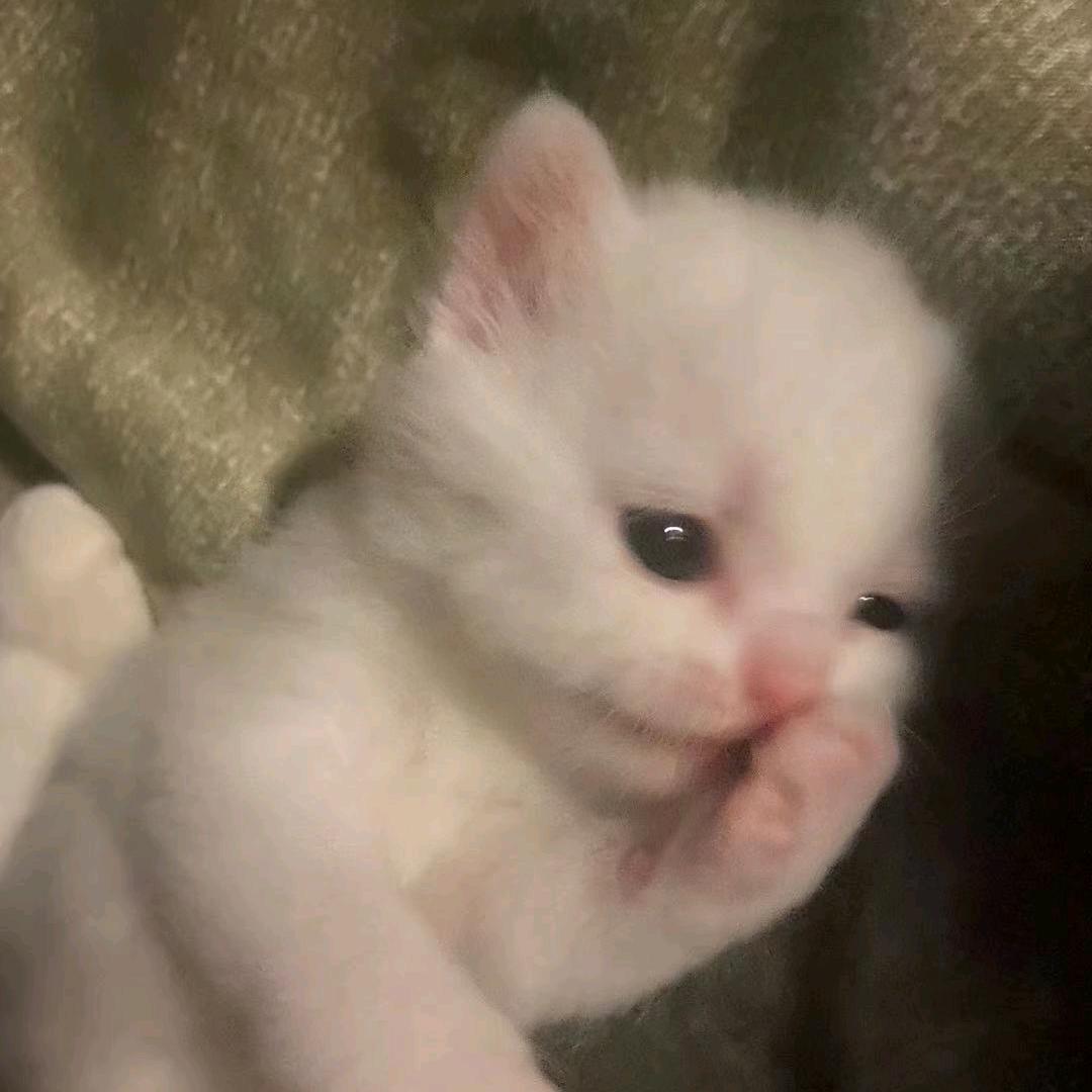 瓶子