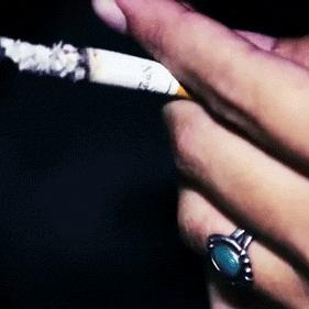 淡若清风