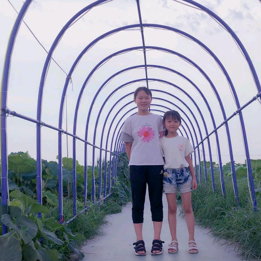 六个公主一个仔的妈妈