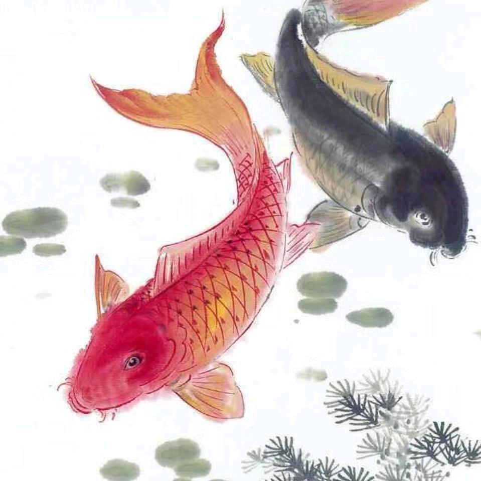 黑哥6180