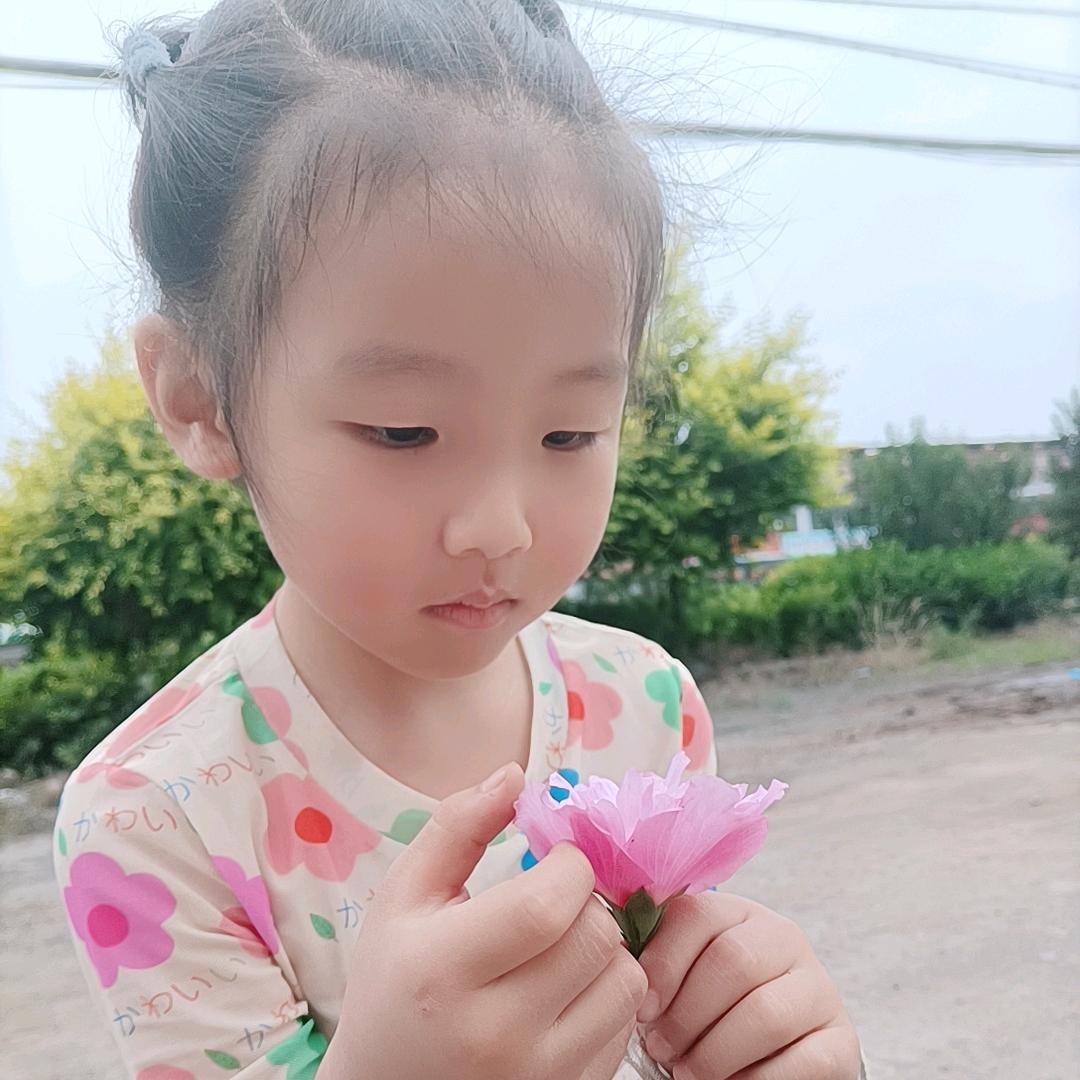 七月.🎀