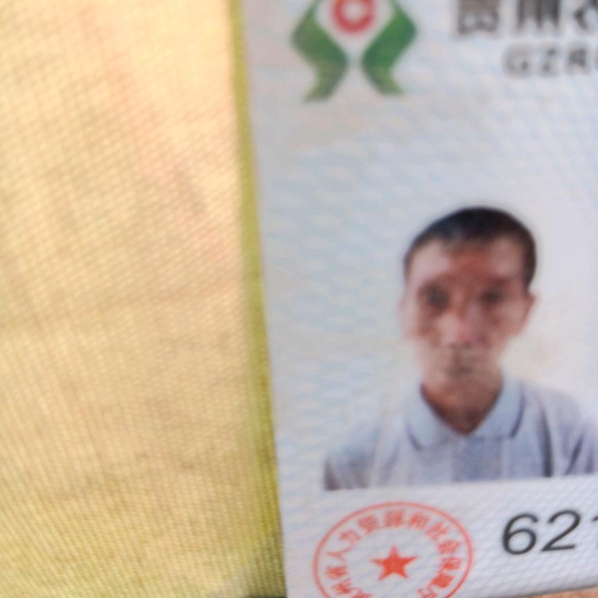 一针一线绣金花〈马哥）