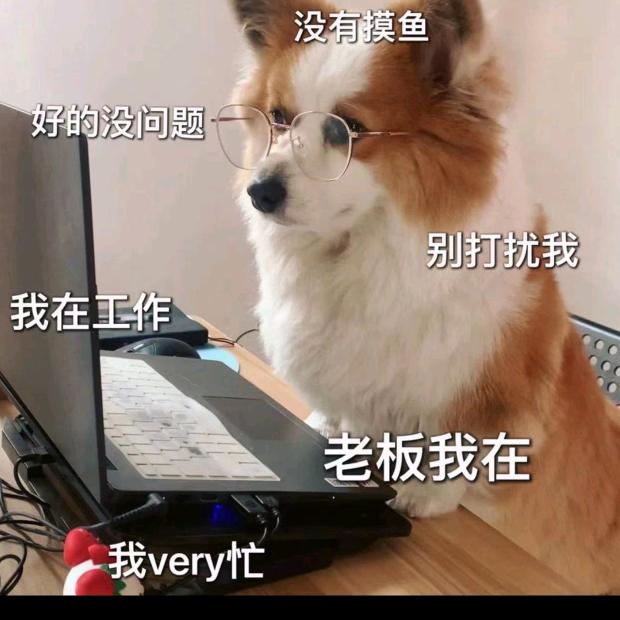山药小狗一段