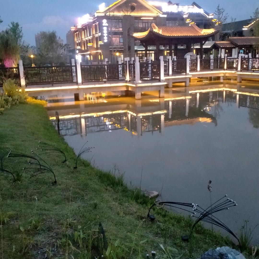 峰哥