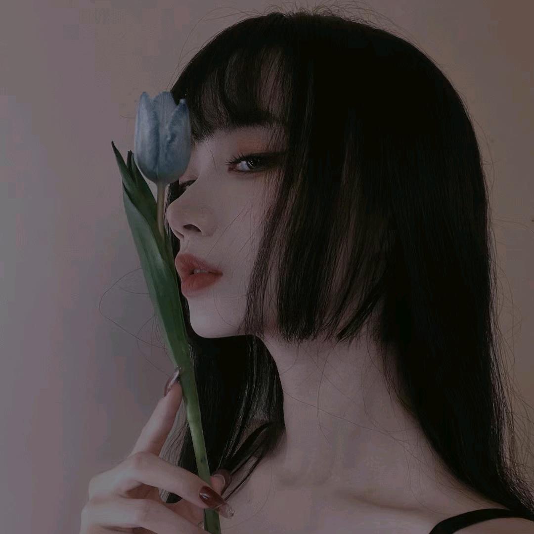 一只叮