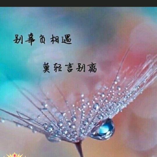 心的经营