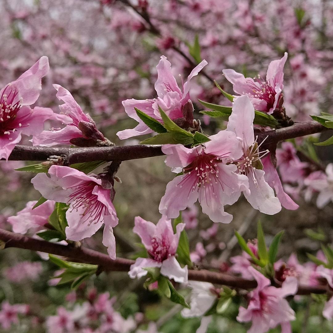 做个俗人没烦恼