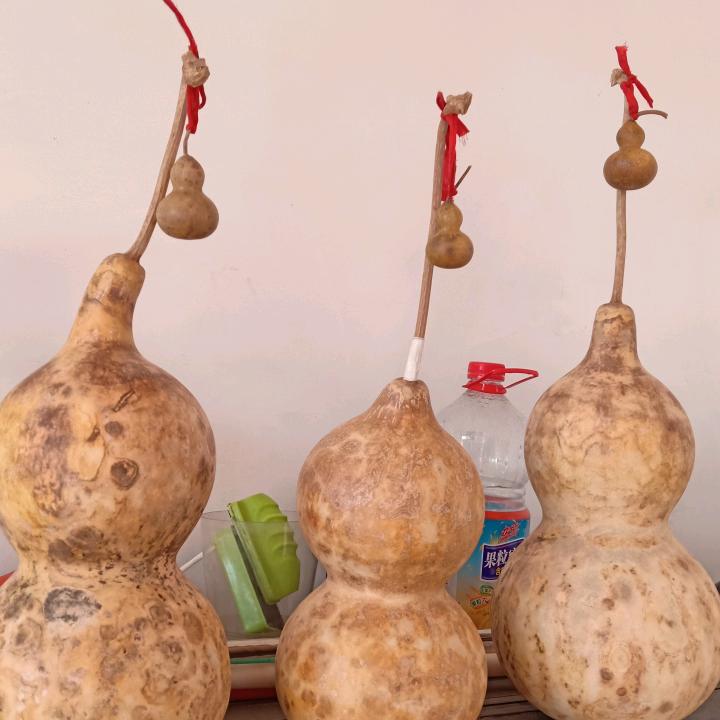 驼铃