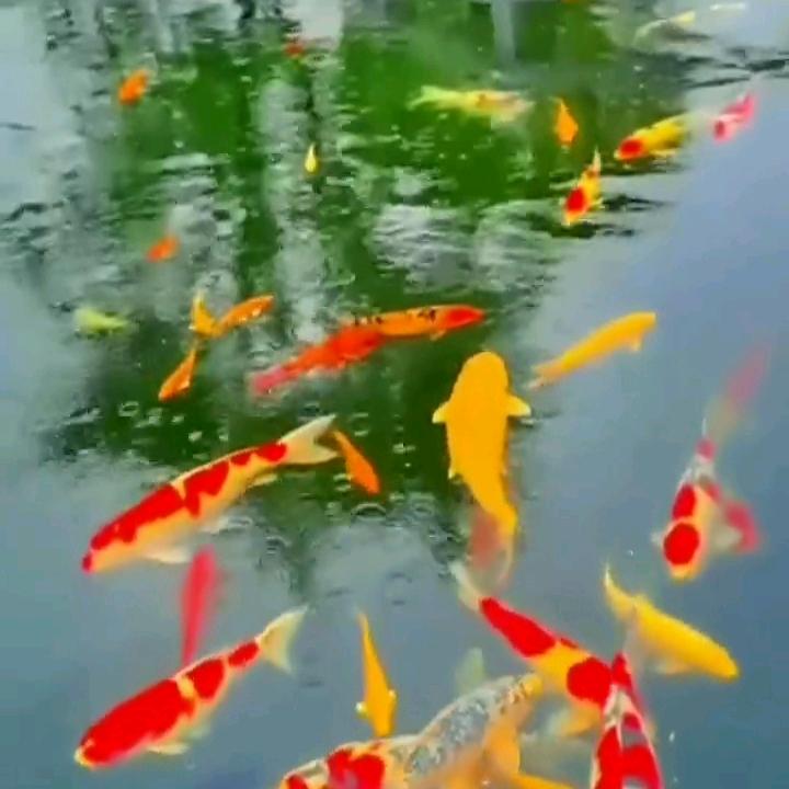 幸福让步