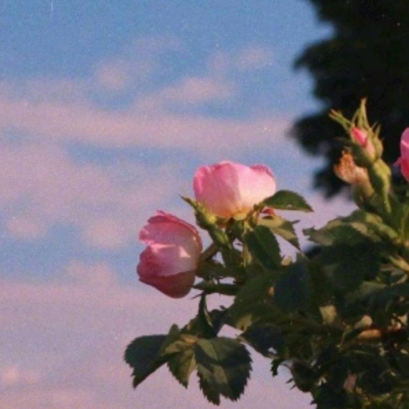 梦想是留给有准备的人