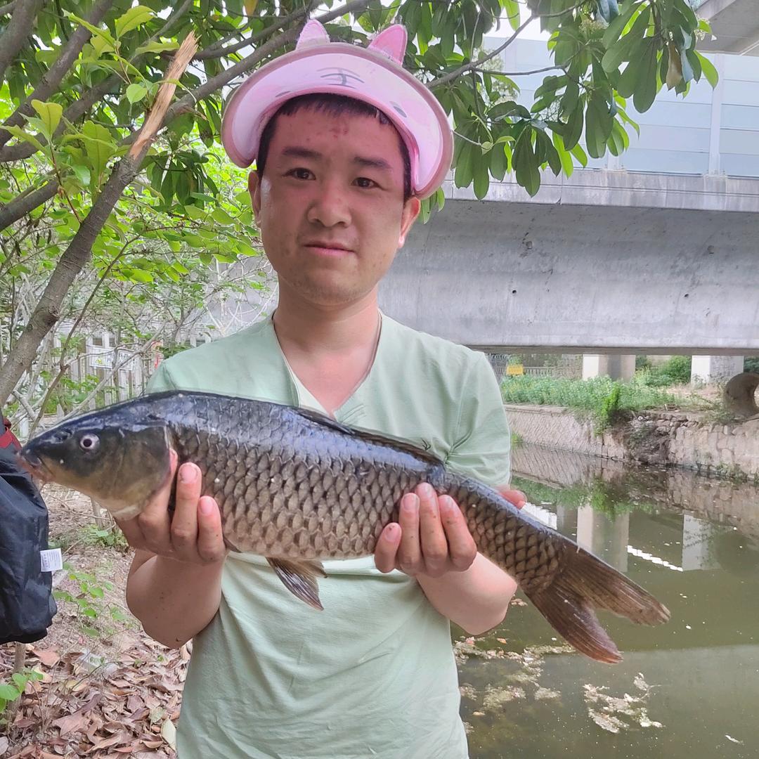 炮哥户外抓鱼