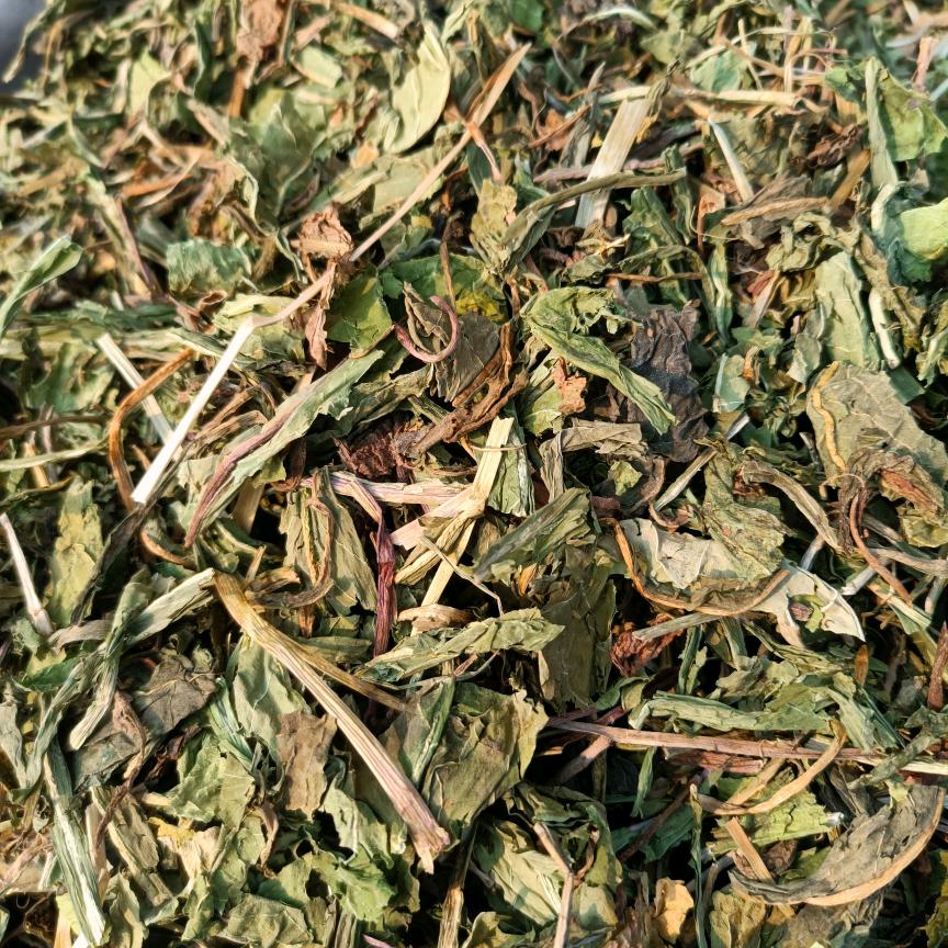 白术桔梗公英益母草马齿苋佩兰旱连草等草药