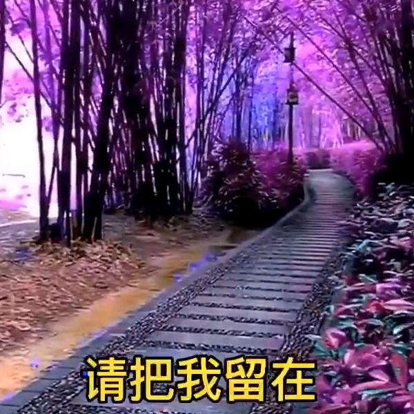 用户8785361660512