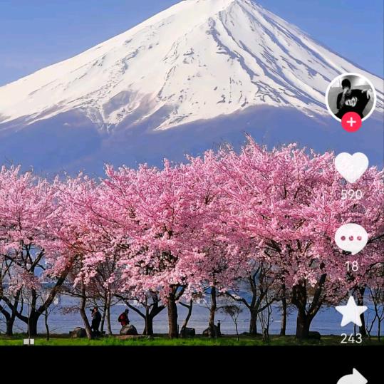 🍒时光温柔🍒