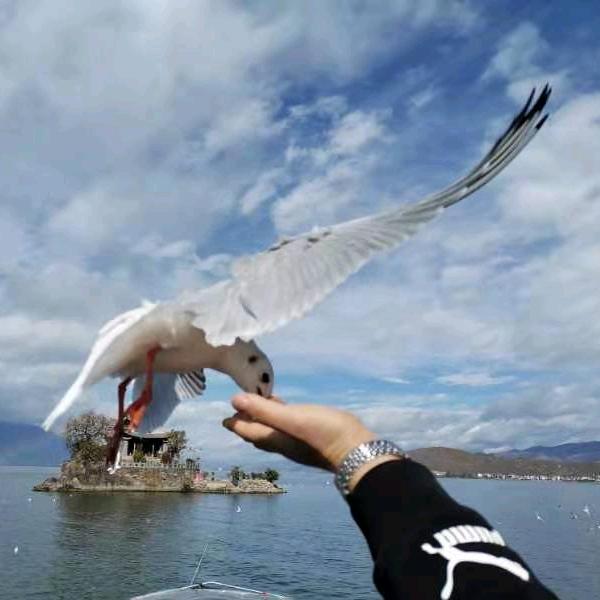 小范……