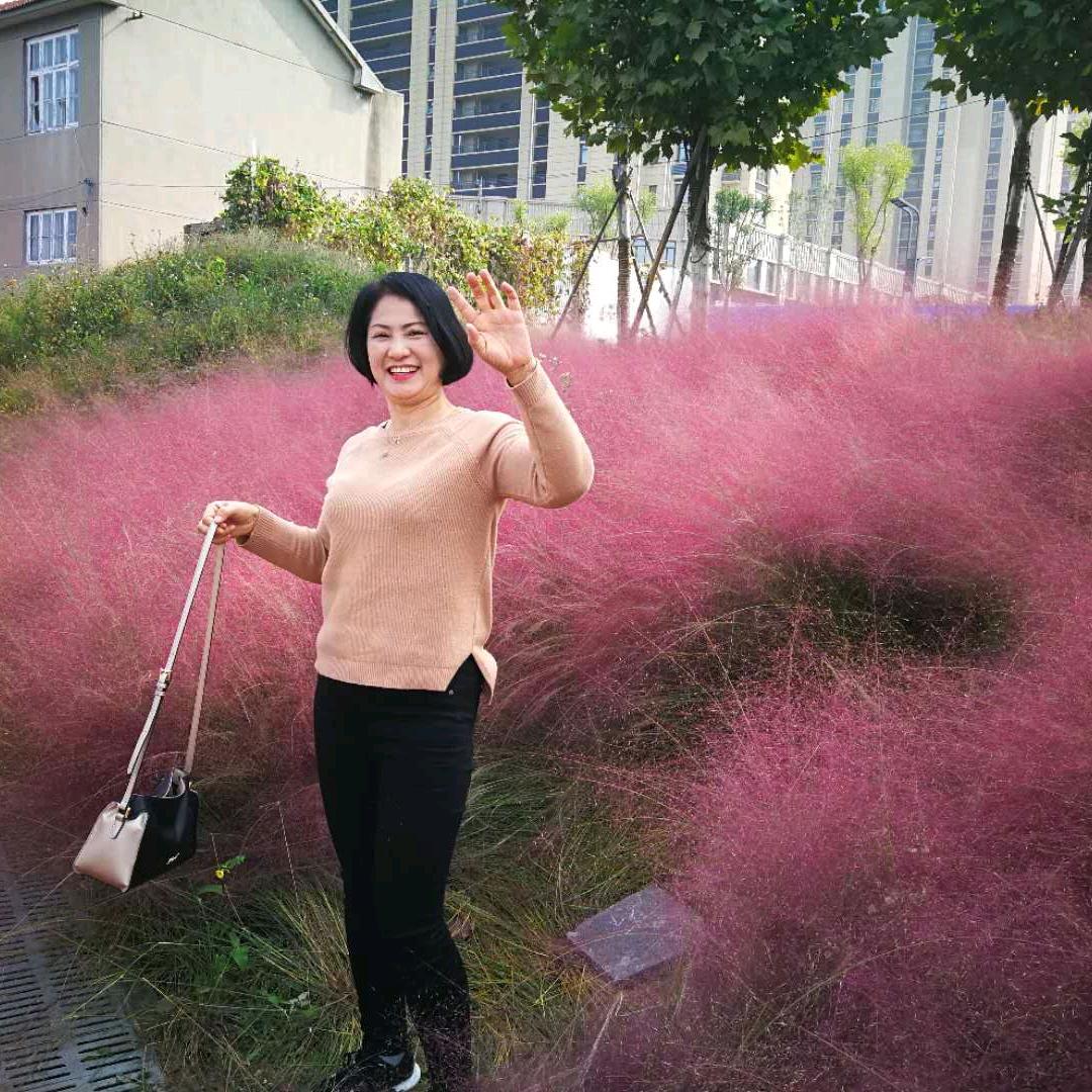淡然