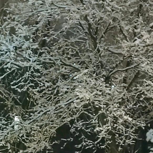 彬彬水果超级批发行～贺