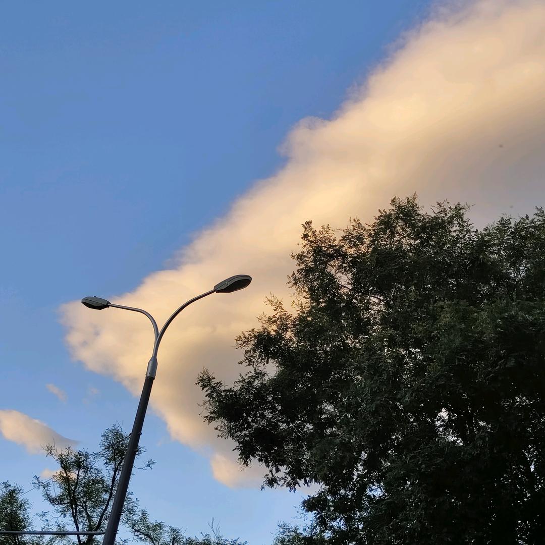 晓星