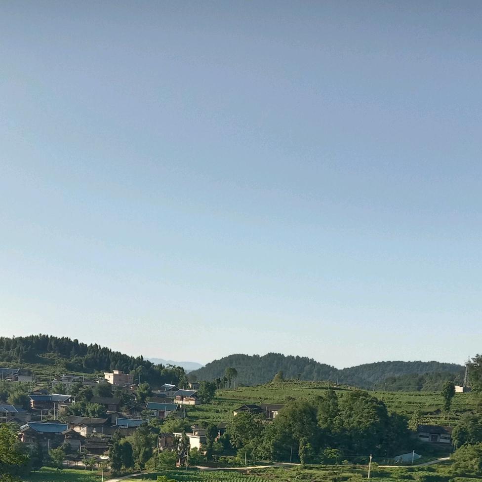 老蒋
