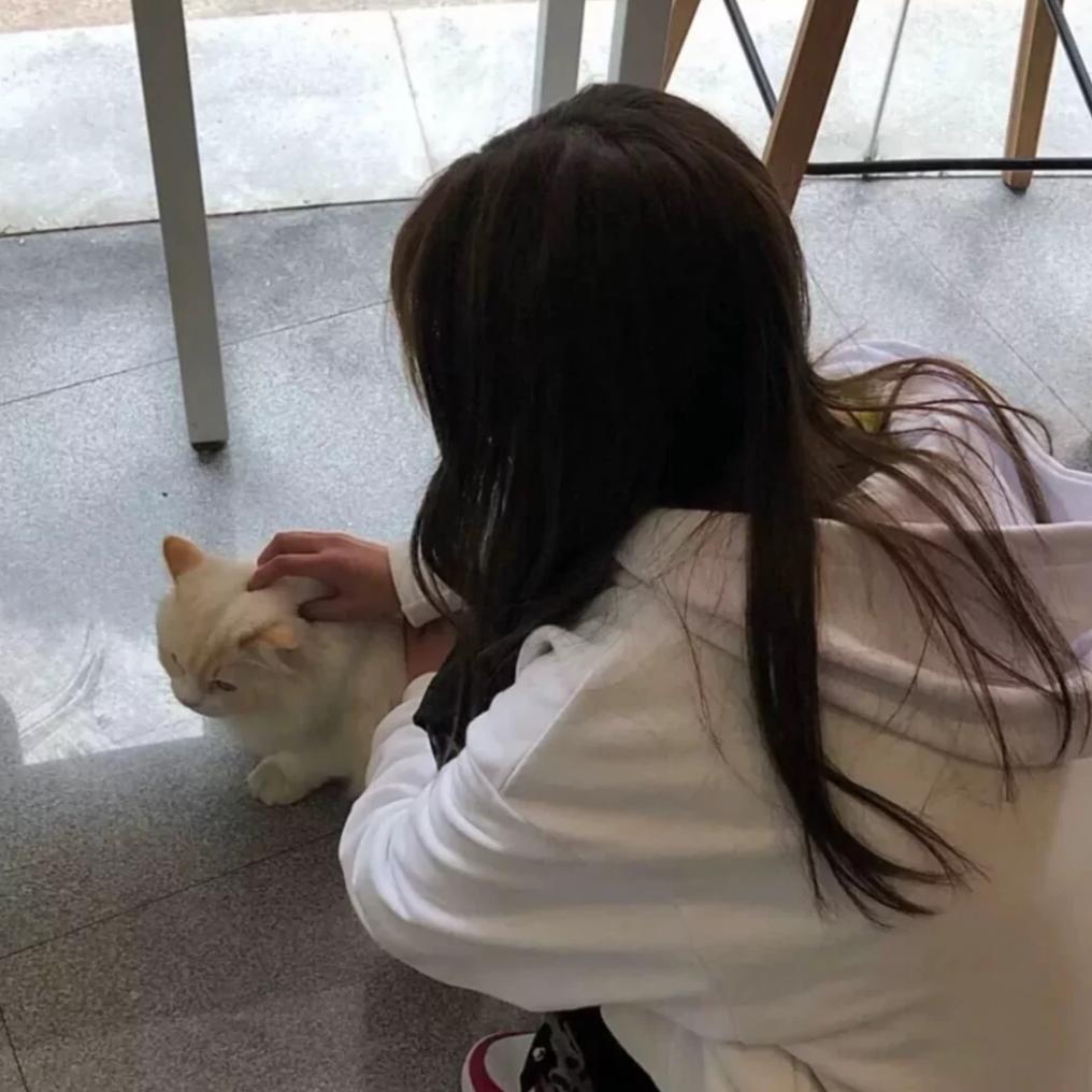 KK爱吃鱼.