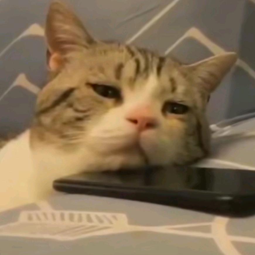 阿波