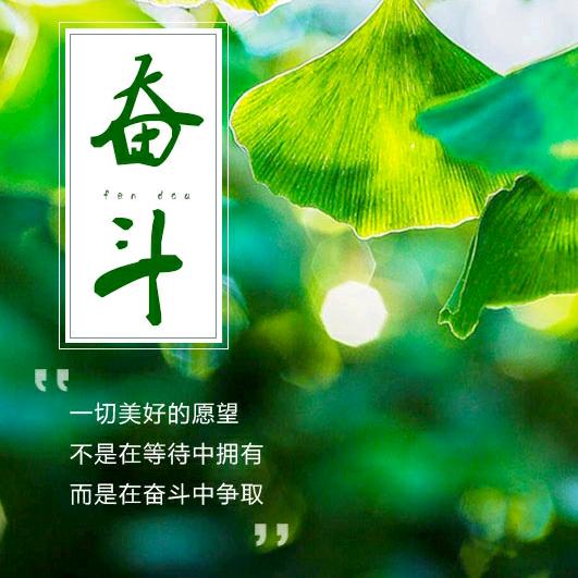 泡泡🐟🐟🐟