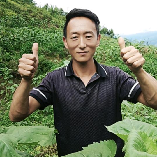 农小二（老王）