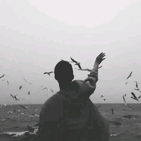 C。.
