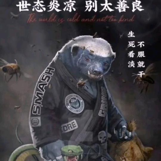 岩哥是块宝，丢了很难找。