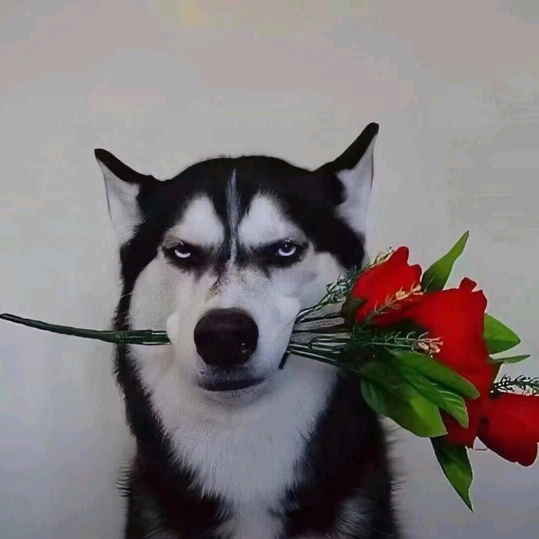 等花開.