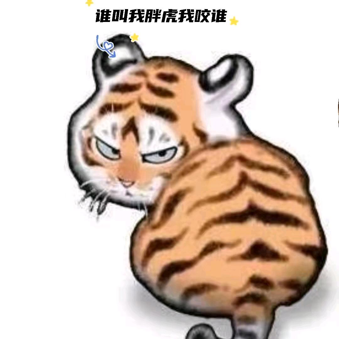 小虎虎胡