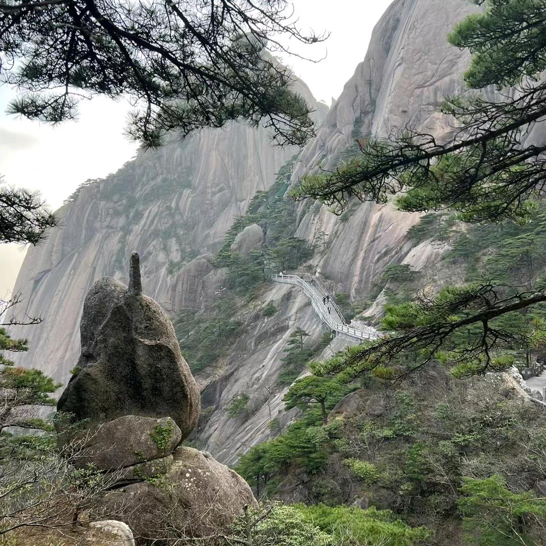 植物酵素洗衣液公司