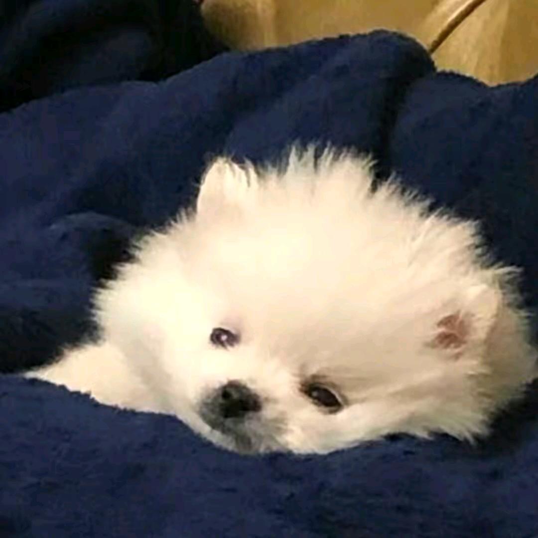 记得接电话
