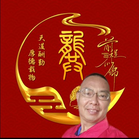 雁北飞