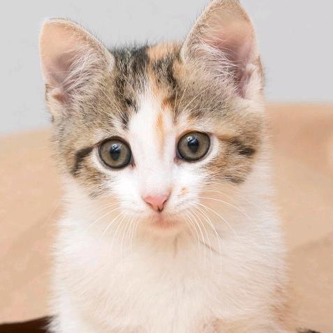 繁华褪尽铅华生