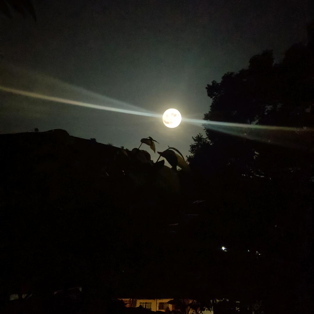 知欧周大米周