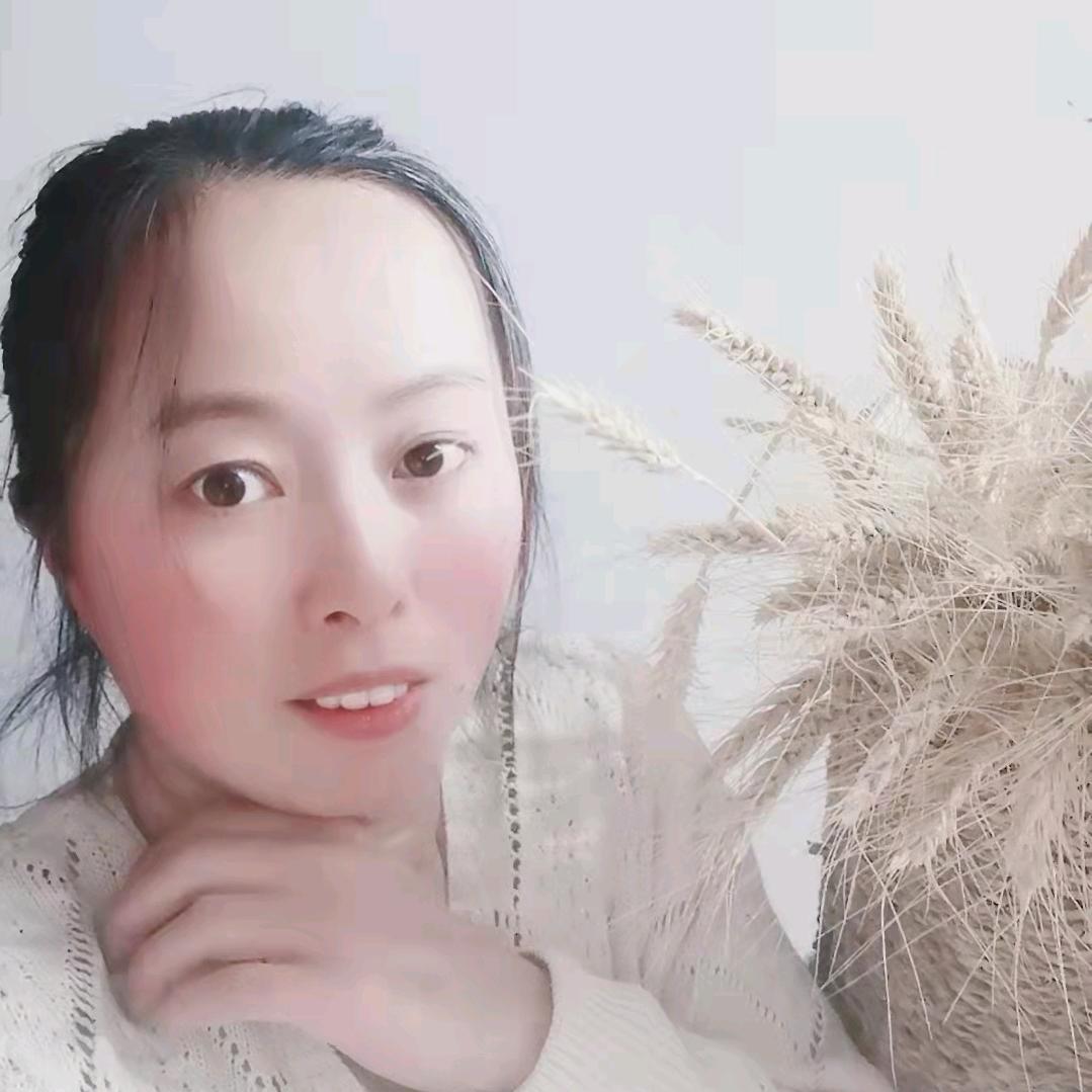 迎春花优品