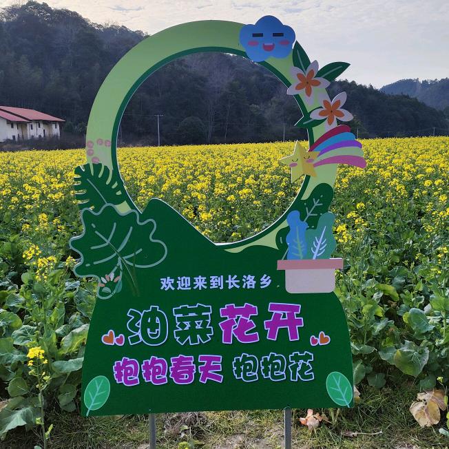 书心静语