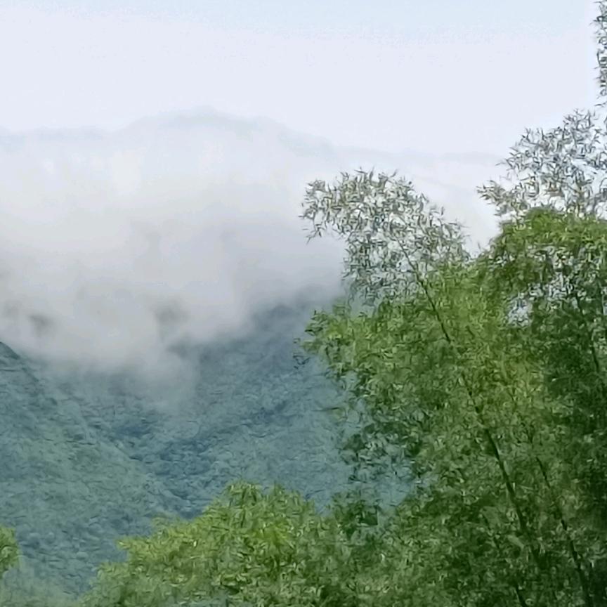 为你动情