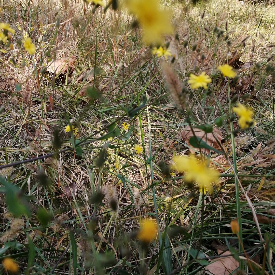 一切随缘就好