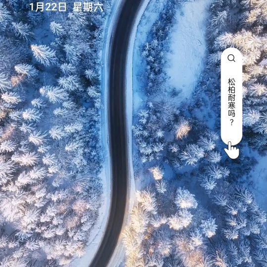 装修五哥