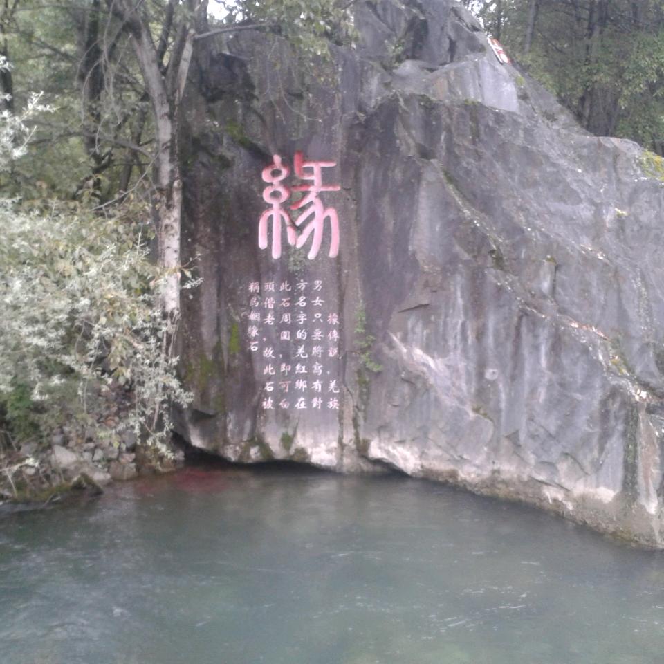 小猫