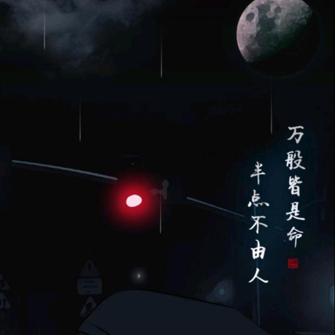 阳阳爱吃肉