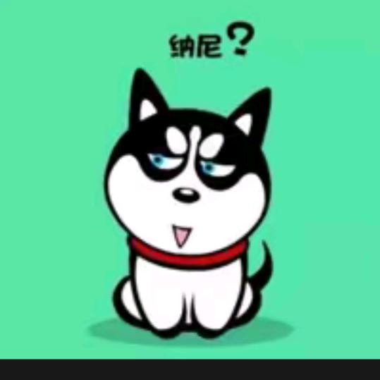 。。。。。。。