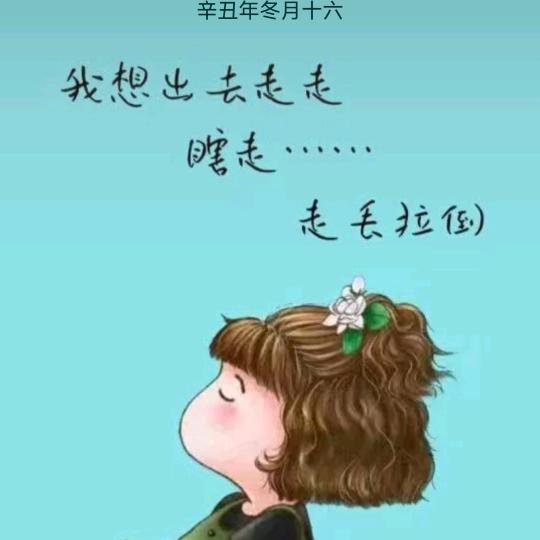 杜娟